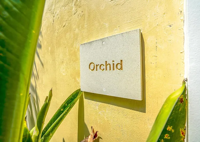 Villa Cozy 1-bedroom Orchid With Private Pool In -bali *